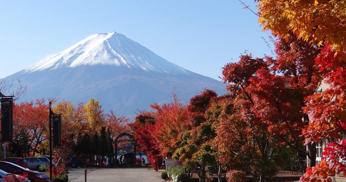 富士山紅葉狩り：河口湖もみじ回廊、昇仙峡、新倉山公園日帰り